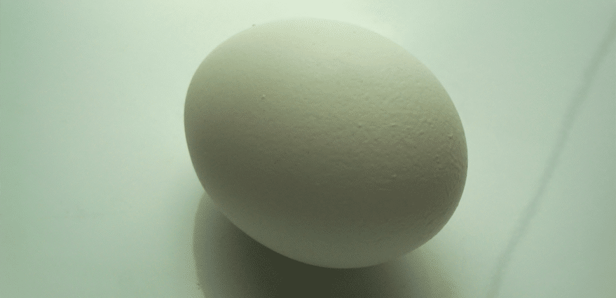 Kalk afbreken in een ei