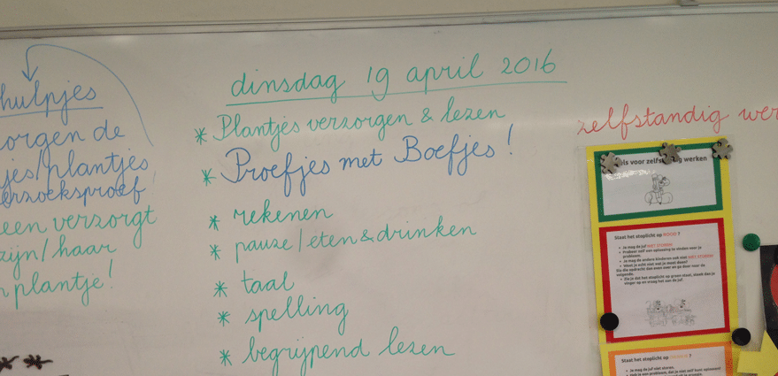 Een kijkje in de sloot